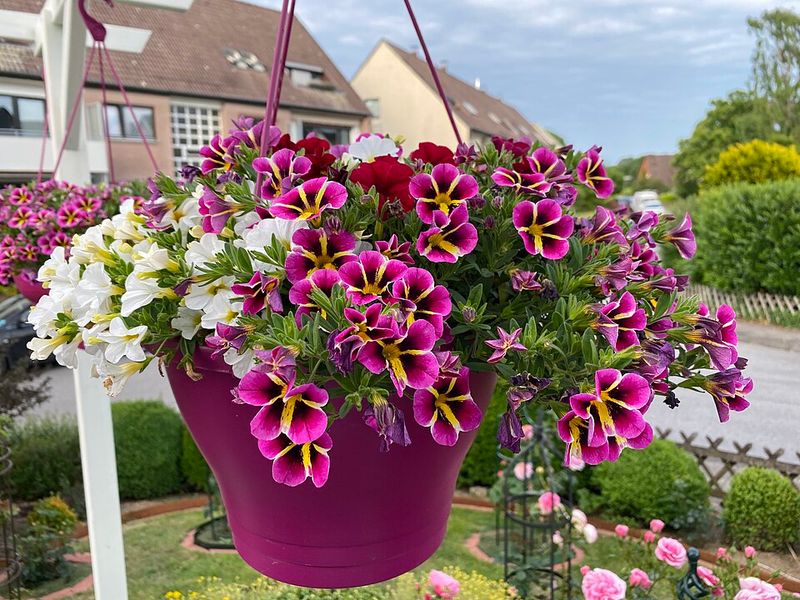 Let Million Bells Spill Over The Basket Edges