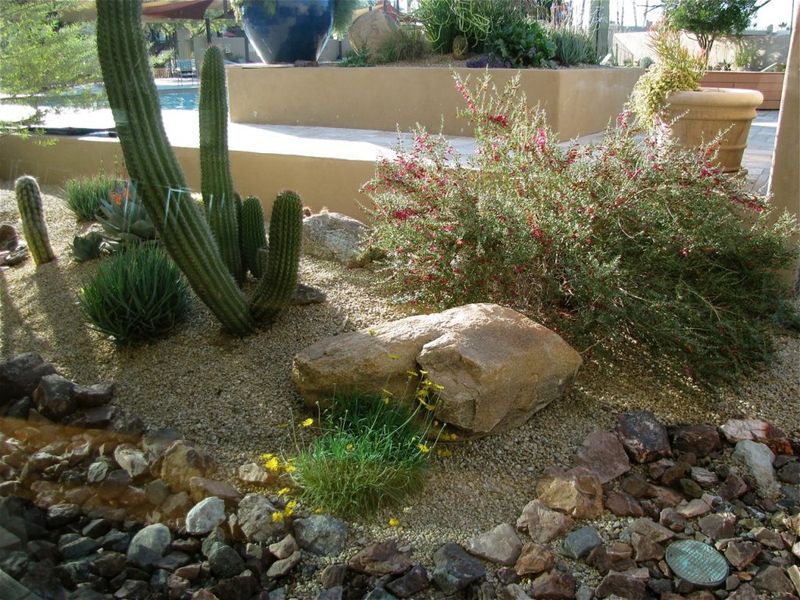 Let The Soil Dry Between Waterings