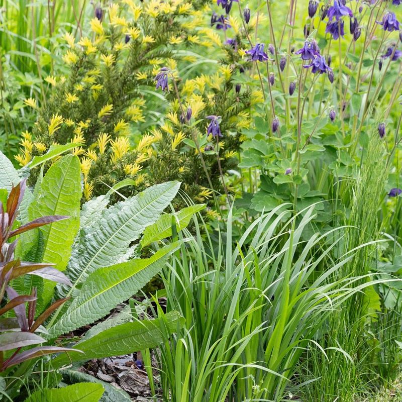 Letting Grass Creep Into Bed Edges Letting Grass Creep Into Bed Edges