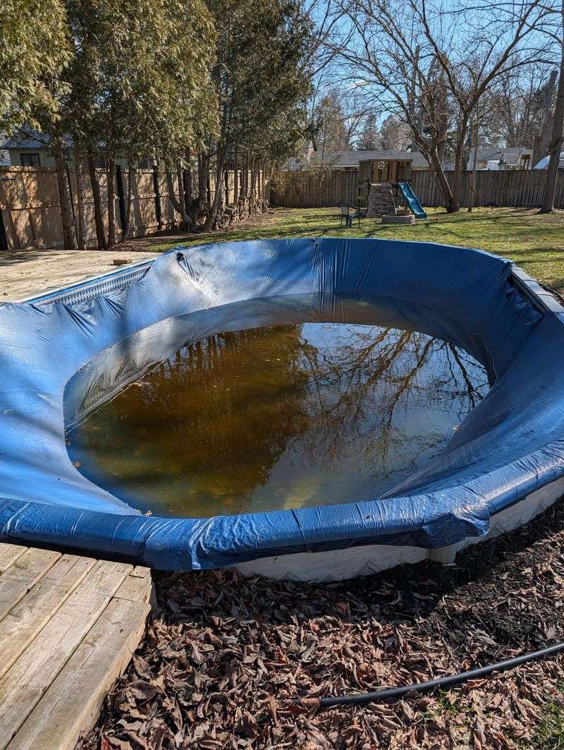 Letting Pool Covers Or Unused Pools Hold Water