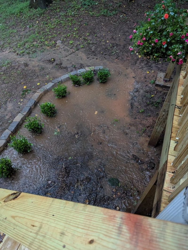 Letting Roof Runoff Soak The Roots Letting Roof Runoff Soak The Roots