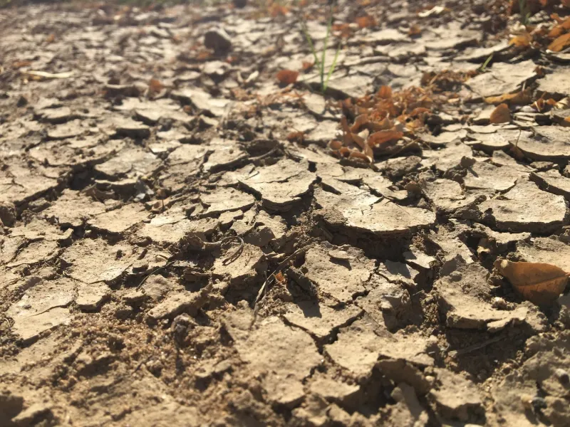 Letting Summer Rain Crust The Soil Surface Letting Summer Rain Crust The Soil Surface