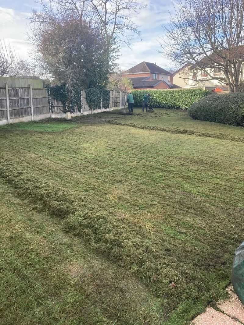 Letting The Lawn Creep Into Wooded Areas
