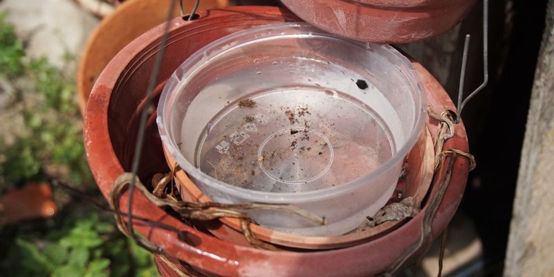 Letting Water Sit In Flowerpot Saucers