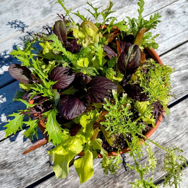 Lettuce Bowls