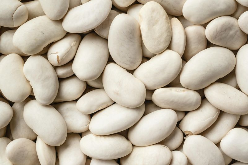Lima Beans