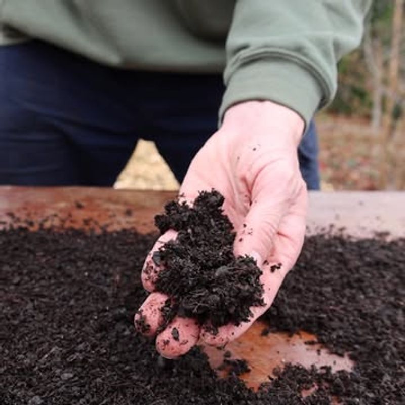 Lime Added Without A Soil Test First