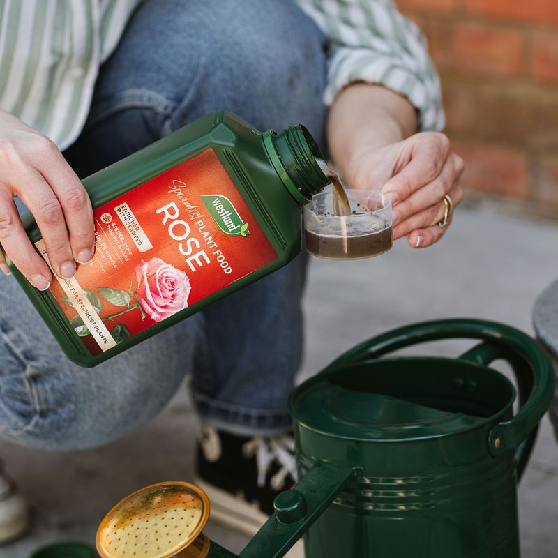 Liquid Feed Can Help When Growth Looks Pale