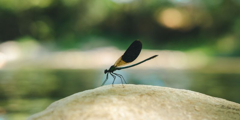 Local Water Quality Is Healthier Than You Think