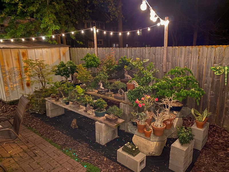 Low-Light Conditions Reduce Disruption