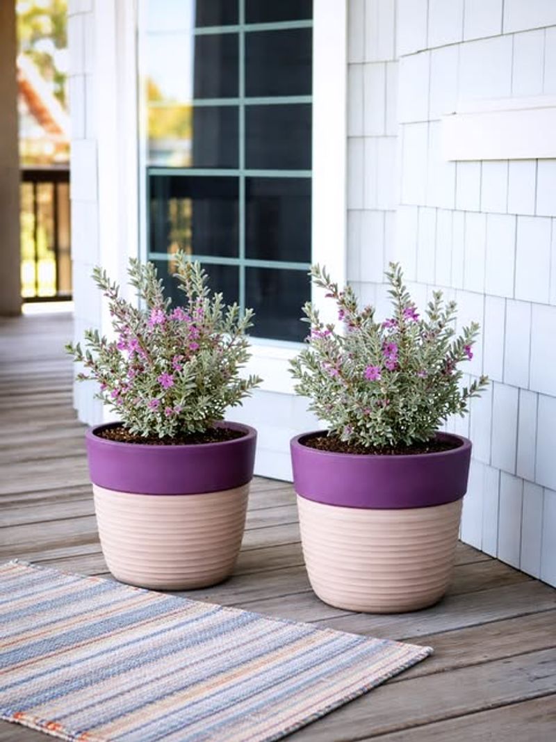 Low-Maintenance Landscaping