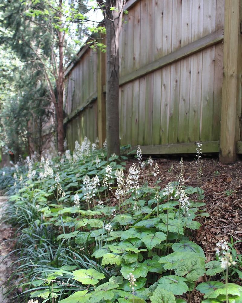 Low Maintenance That Fits Any Busy Gardener's Life Low Maintenance That Fits Any Busy Gardener's Life