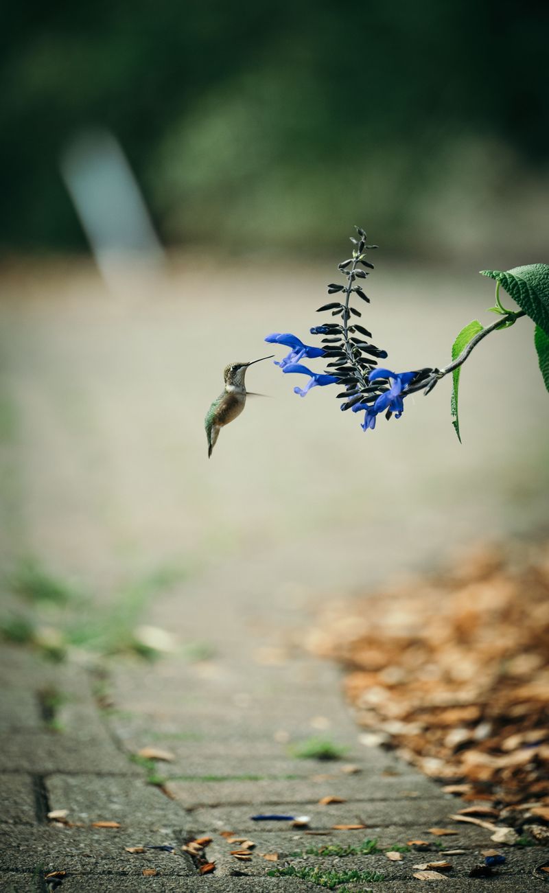 Low Pesticide Use Keeps The Welcome Mat Out Year After Year