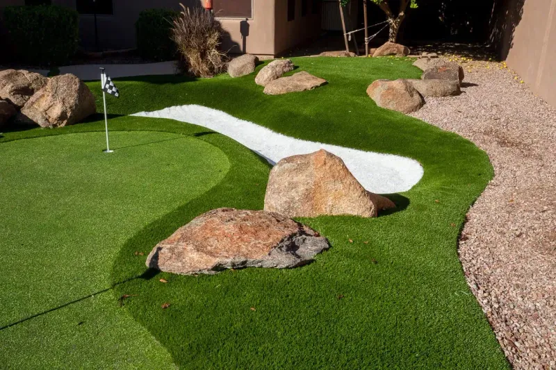 Low-Use Lawns Are Getting Smarter Replacements