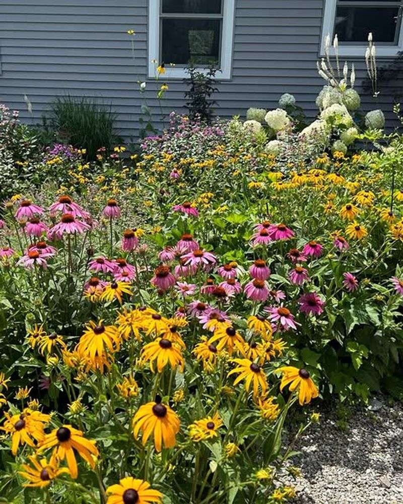 Lower Maintenance Year-Round
