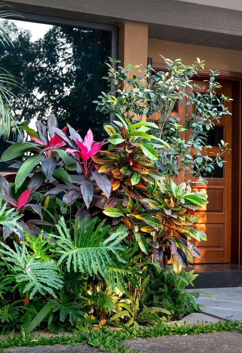 Lush Vegetation And Gardens Right Outside The Home Lush Vegetation And Gardens Right Outside The Home