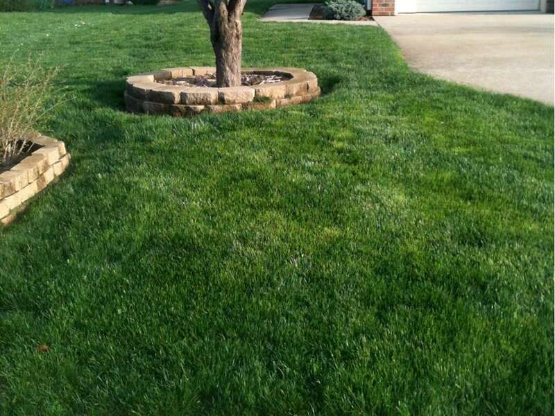 Maintain A Consistent Watering Schedule