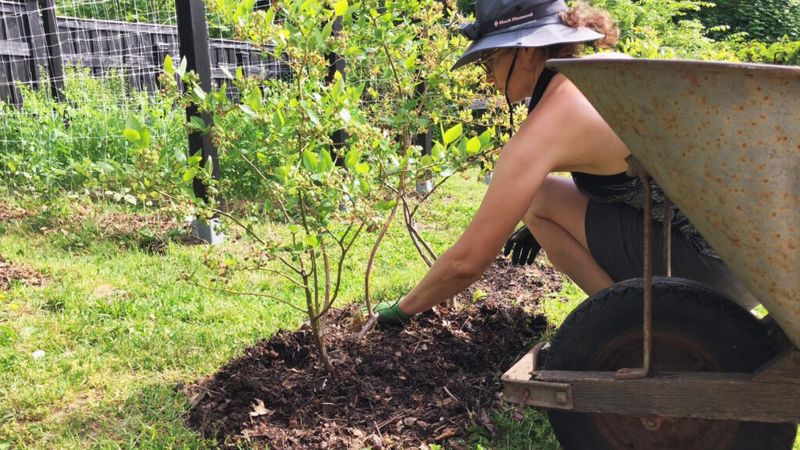 Maintaining Proper Soil Acidity