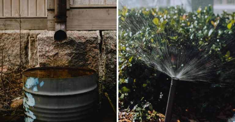 Make These 8 Changes To Your Yard Before Minnesota’s Drought Deepens