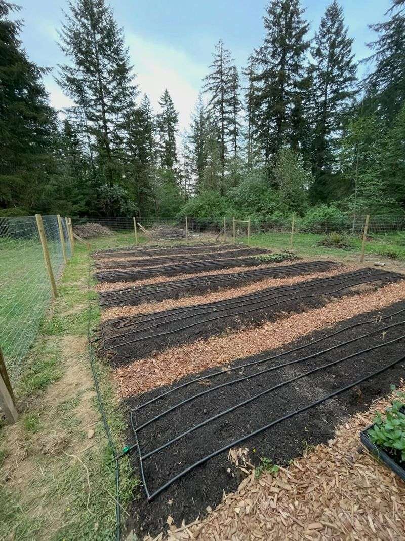 Match Emitter Spacing To Vegetable Roots