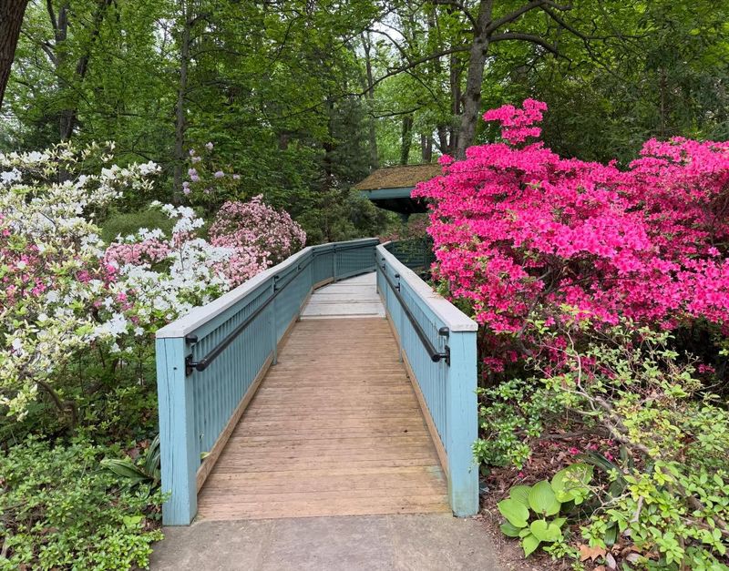 McCrillis Gardens