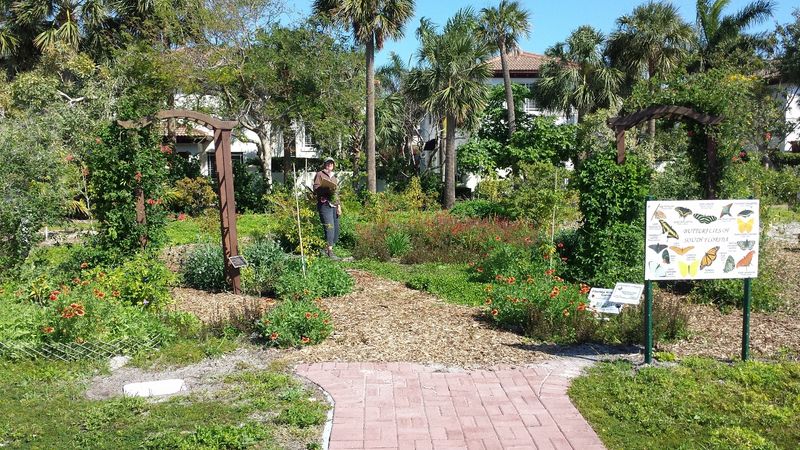 Meadow Beauty Nursery Rounds Out Palm Beach County's Native Plant Scene Meadow Beauty Nursery Rounds Out Palm Beach County's Native Plant Scene