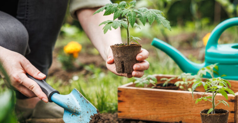 Michigan Residents Are Embracing Gardening More Than Ever And Here’s Why