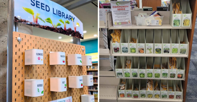 Michigan Seed Libraries Where You Can Borrow Varieties And Return What You Grow