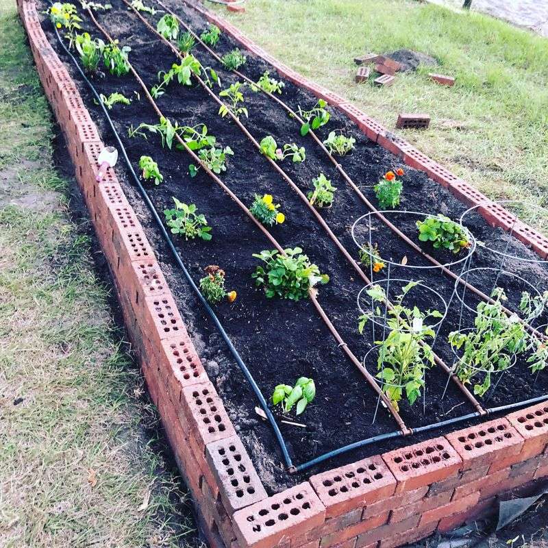 Micro-Irrigation Keeps Small Beds Efficient In Heat