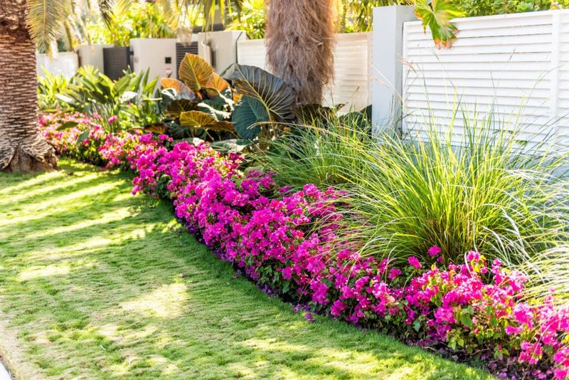 Micro-Landscapes Turn Tiny Yards Into Useful Zones