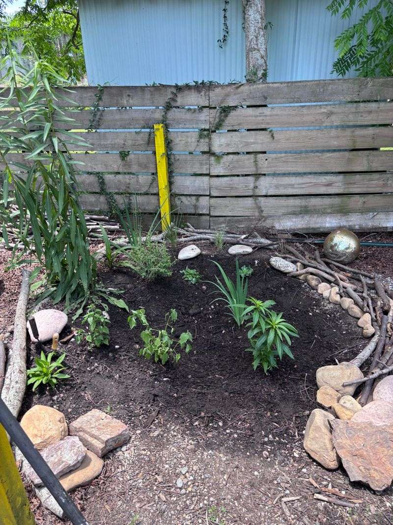Mini Rain Gardens Help Manage Florida Downpours