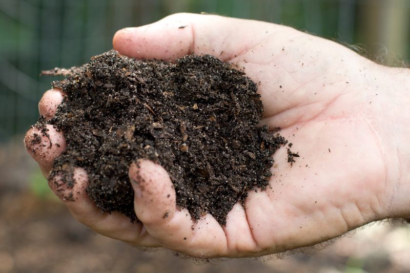 Missing Organic Matter Leaves Beds Dry Again Too Fast