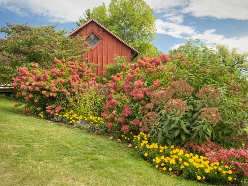 Mix Plants Instead Of Building One Long Pest-Prone Wall