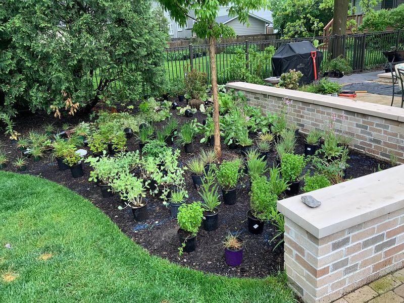 Moist, Shady, Poorly Drained Spots