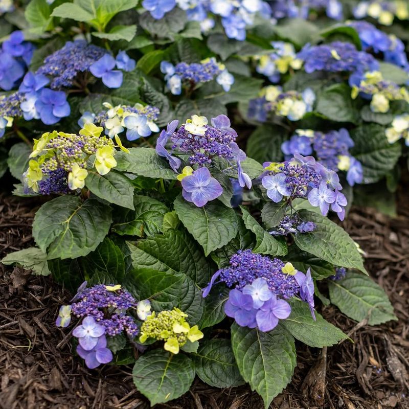 Moist Soil Matters As Much As The Right Exposure