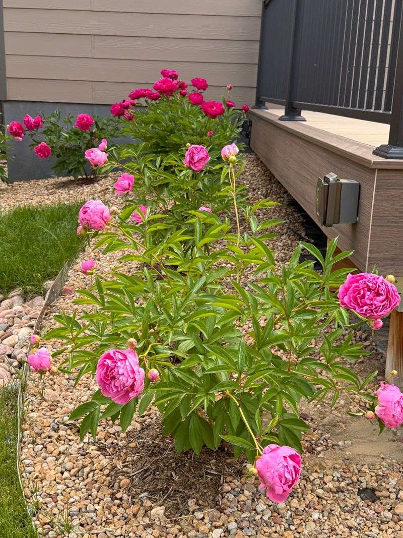 Monitor Soil Health