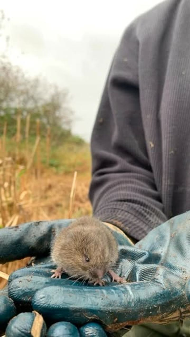 Monitoring And Physical Traps