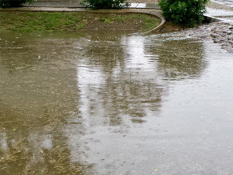 Monsoon Rains Can Flood Outdoor Hiding Places