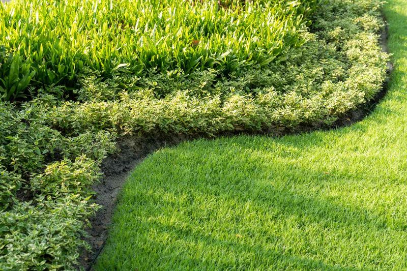 More Gardeners Are Creating Buffer Zones More Gardeners Are Creating Buffer Zones