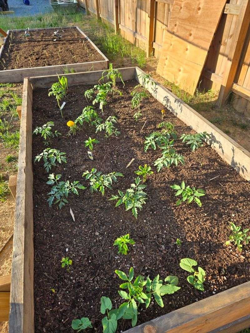 Most Common Garden Plants Do Not Want Extremely Acidic Soil Most Common Garden Plants Do Not Want Extremely Acidic Soil