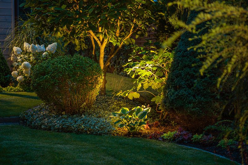Motion Sensors Reduce Unneeded Light Motion Sensors Reduce Unneeded Light