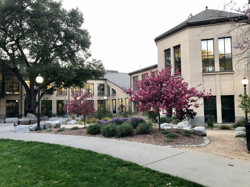 Mountain View Public Library Seed Library — Mountain View Mountain View Public Library Seed Library — Mountain View