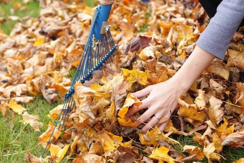 Move Leaf Mulch Away From High-Use Spots