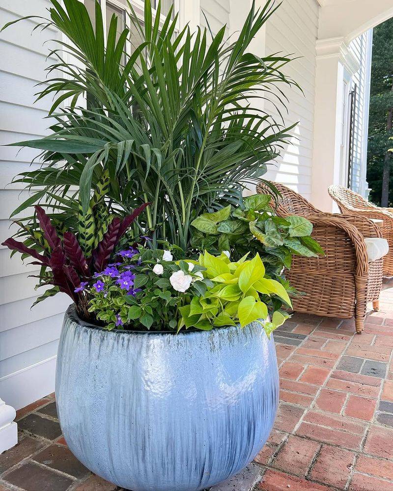 Move Outdoor Houseplants Into Bright Shade