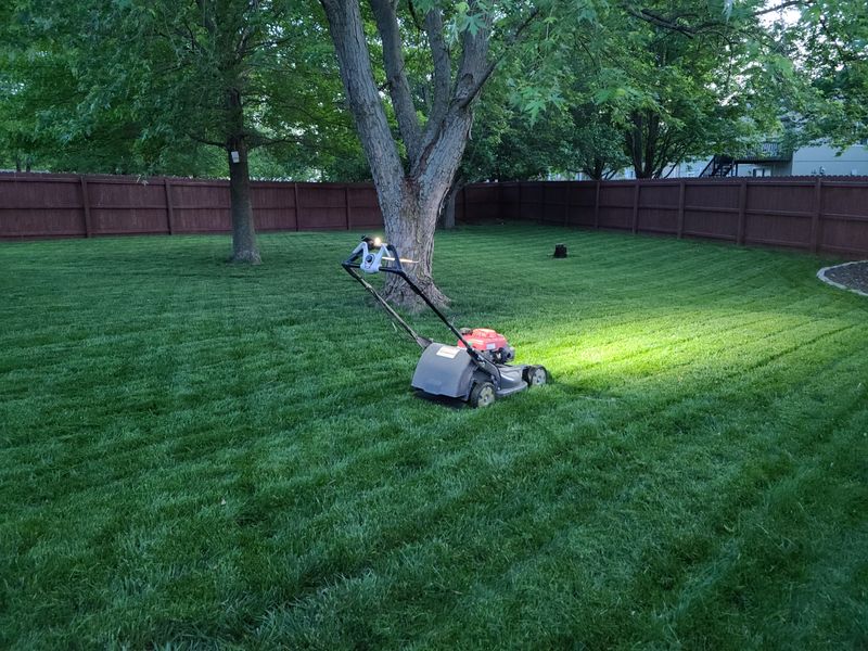 Mow Lawn Edges Before They Get Tall