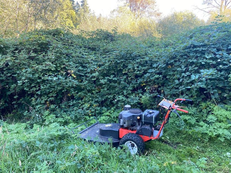 Mowing Alone Only Buys Time