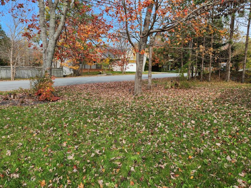 Mowing Around Leaf Litter Does Not Remove The Problem Mowing Around Leaf Litter Does Not Remove The Problem