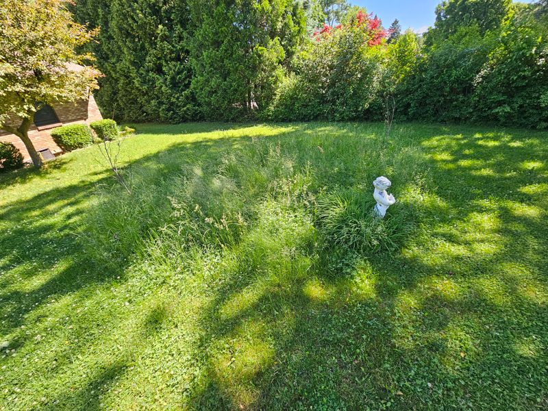 Mowing Only Certain Areas