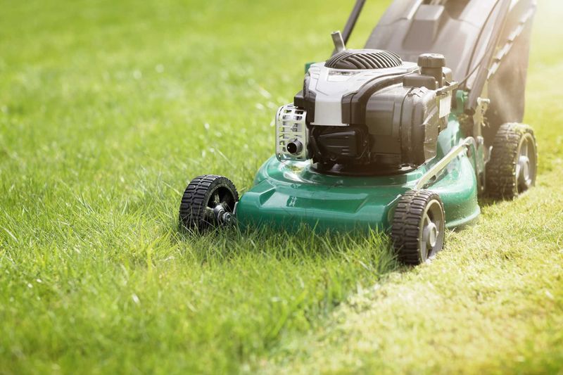Mowing The Grass Too Short