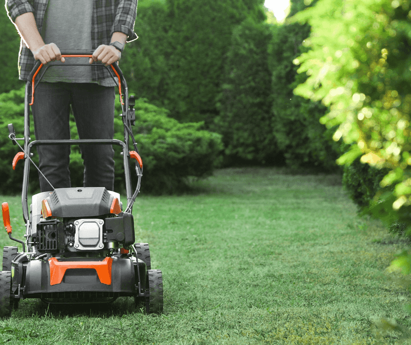 Mowing Too Late After Warm Wet Weather